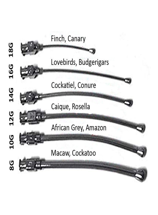 ويستيرن إرا محقنة تغذية يدوية للحيوانات الأليفة من ويسترن إيرا مع إبرة من الفولاذ المقاوم للصدأ، طقم كامل للطيور والكلاب والقطط والهامستر (50 مل) - Image 3